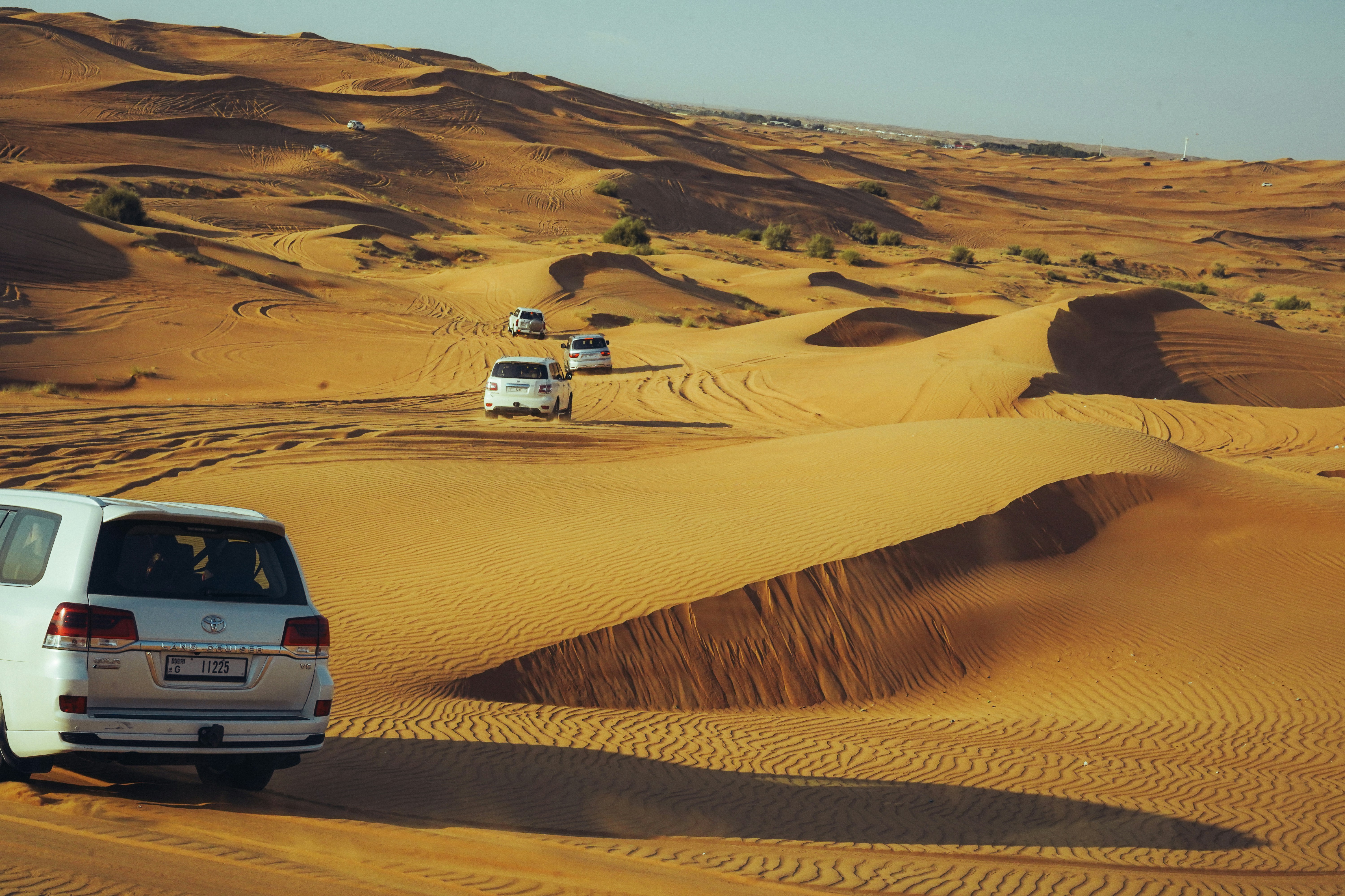 Desert Adventures