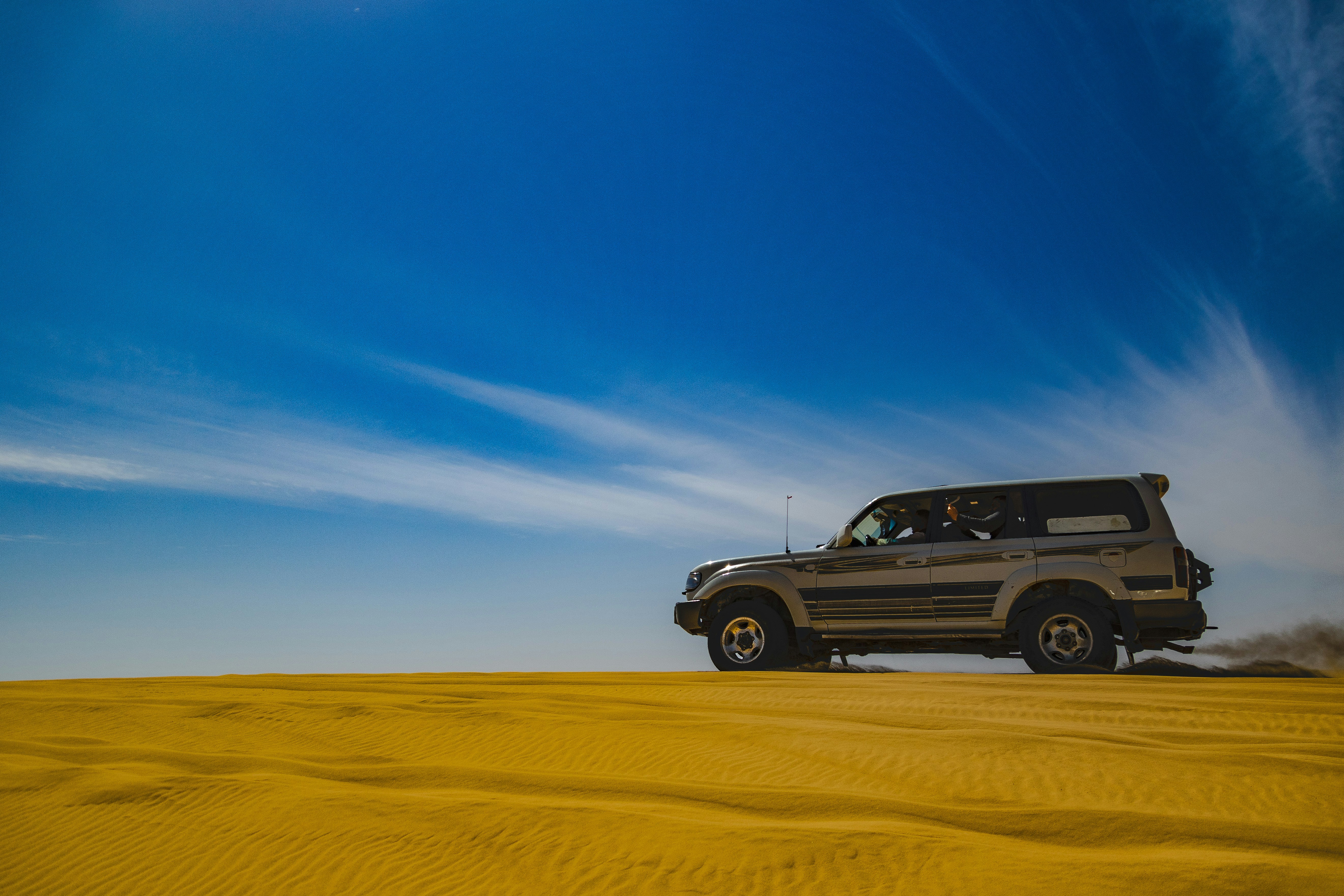 Sunset Safari